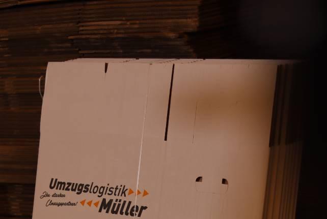 Günstiger Behördenumzug Lampertswalde
