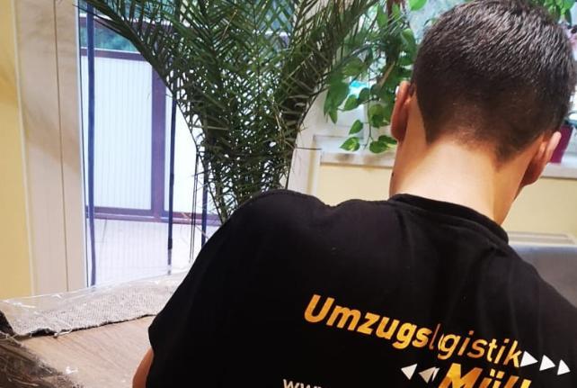 Behördenumzug Preise und Kosten Lampertswalde